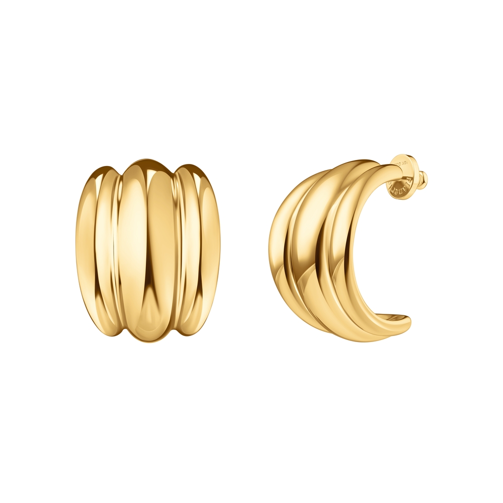 Elegant Gold Hoop Earrings